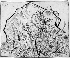 Otto Pankok, Stein und Blume (Felsbrocken mit Schnecke)